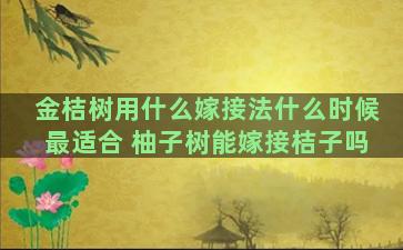 金桔树用什么嫁接法什么时候最适合 柚子树能嫁接桔子吗